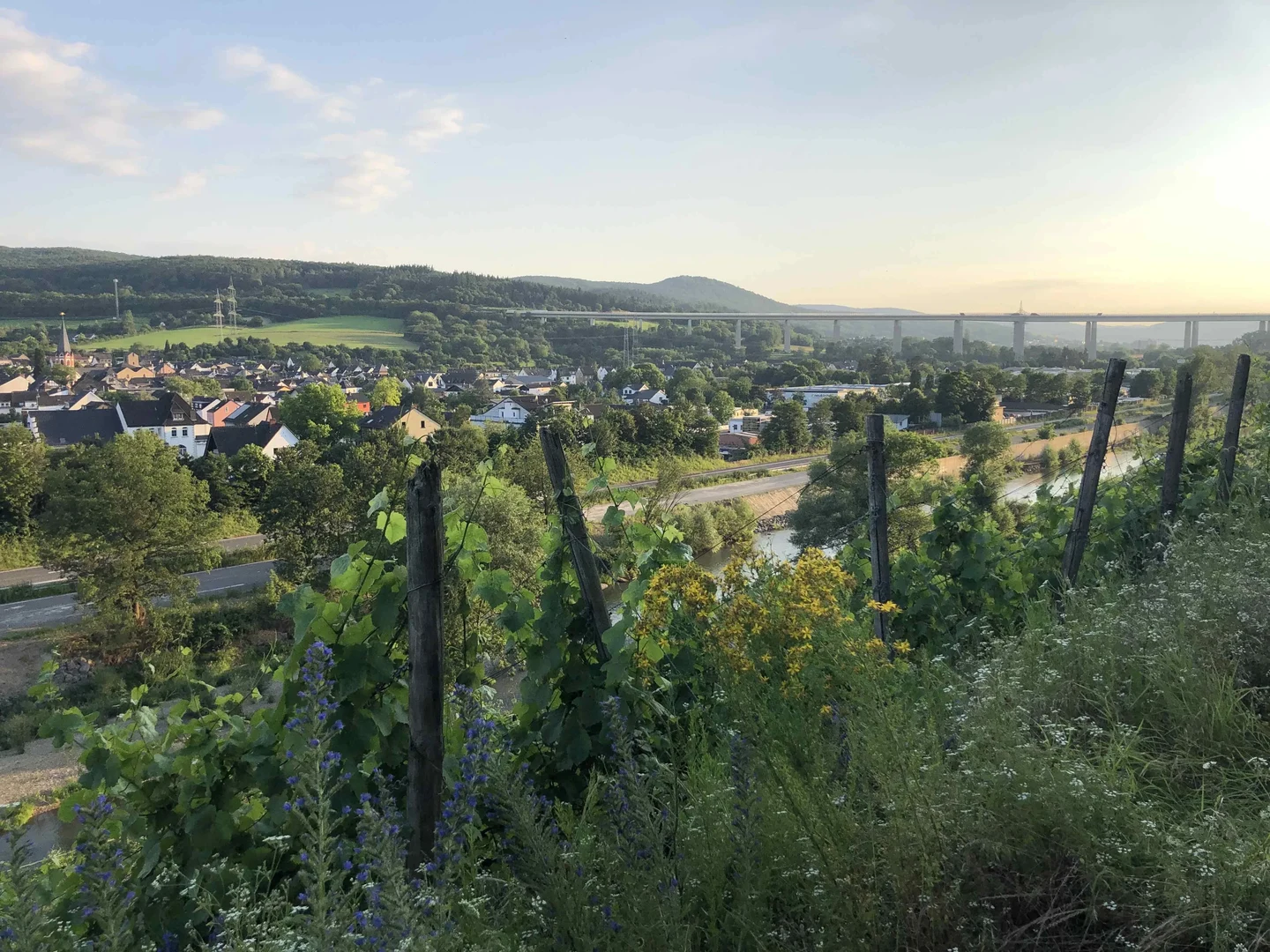 Ahrtal - Fünf Jahre nach der Flut startet die große Bevölkerungsbefragung