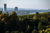 bonn-983313_1920.jpg